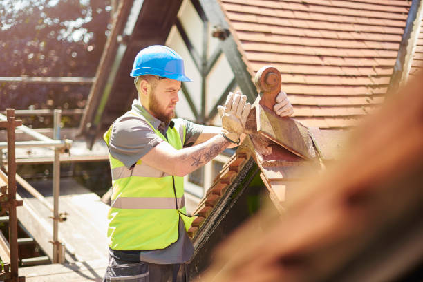 Best Local Roofing Companies  in Mount Vernon, TX
