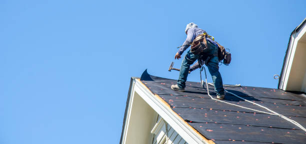 Best Commercial Roofing Services  in Mount Vernon, TX